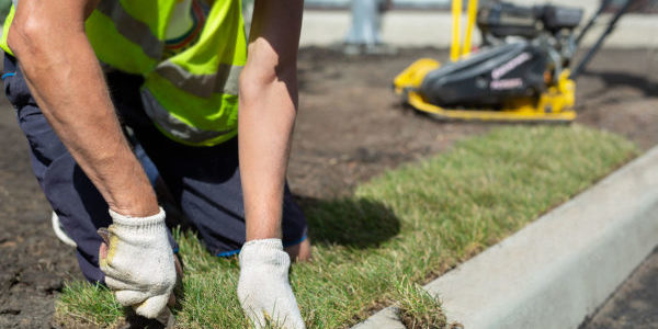 a-landscape-gardener-is-laying-turf-for-a-new-lawn-2022-11-01-04-14-57-utc