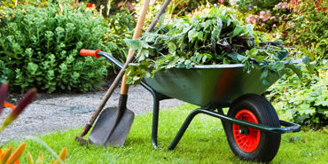 Floor & More - garden cleanup with wheelbarrow