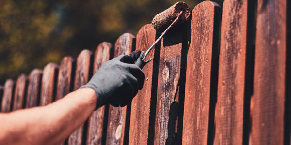 Man in protective gloves is painting wooden fence in bright summer day.